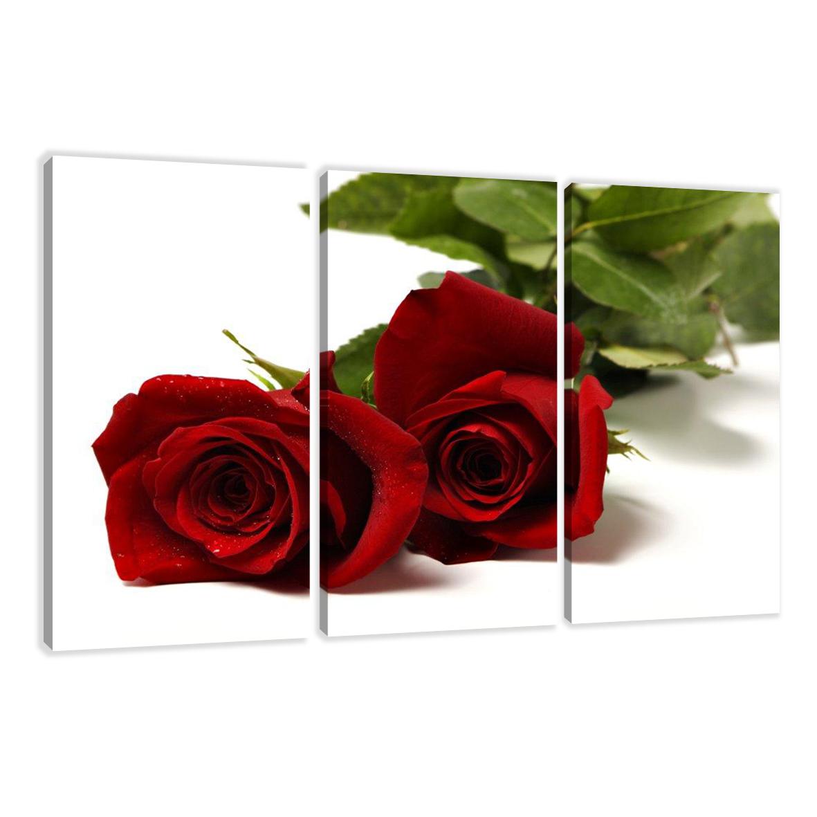 Leinwand Bild fert gerahmt Rose Rot 160cm XXL 3 1095 !! Auslaufmodell !! – Leinwandbild 150x90 cm 3-teilig kaufen