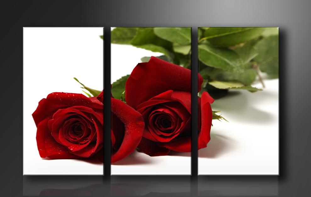 Leinwandbild Rose Rot - 3-teiliges Wandbild 150x90cm – Ansicht 4