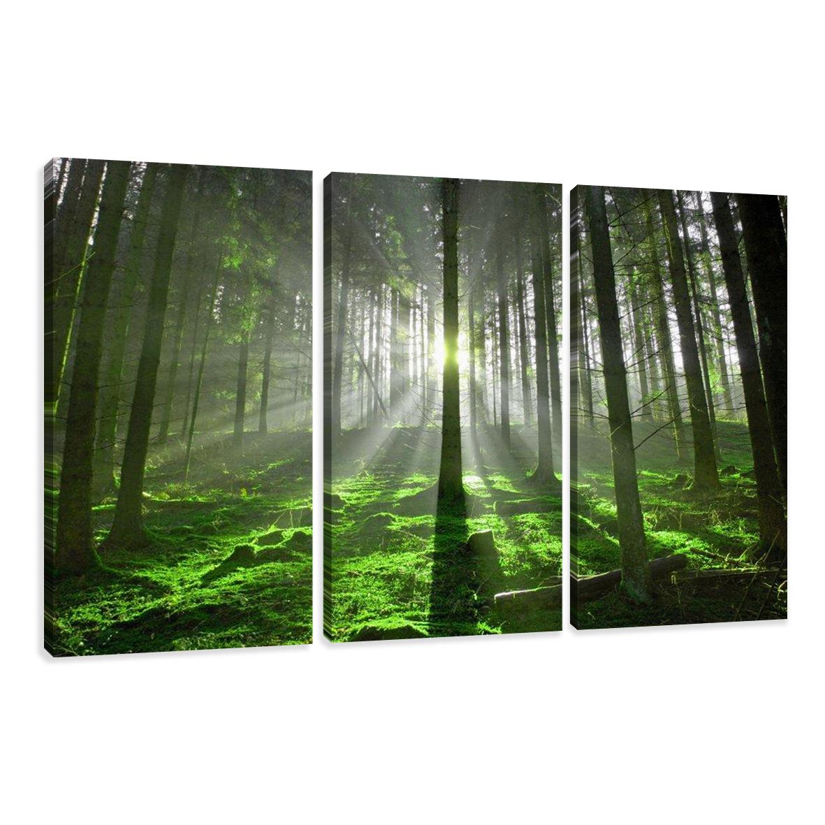 Leinwand Bilder fert gerahmt Bäume 160cm XXL 3 1130 – Leinwandbild 150x90 cm 3-teilig kaufen