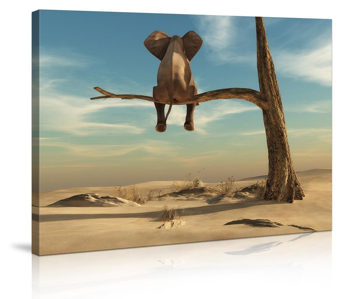 Leinwand Bild fert gerahmt Elefant auf Baum / Ast 80 x 60 cm Nr.4010 – Leinwandbild 80x60 cm kaufen