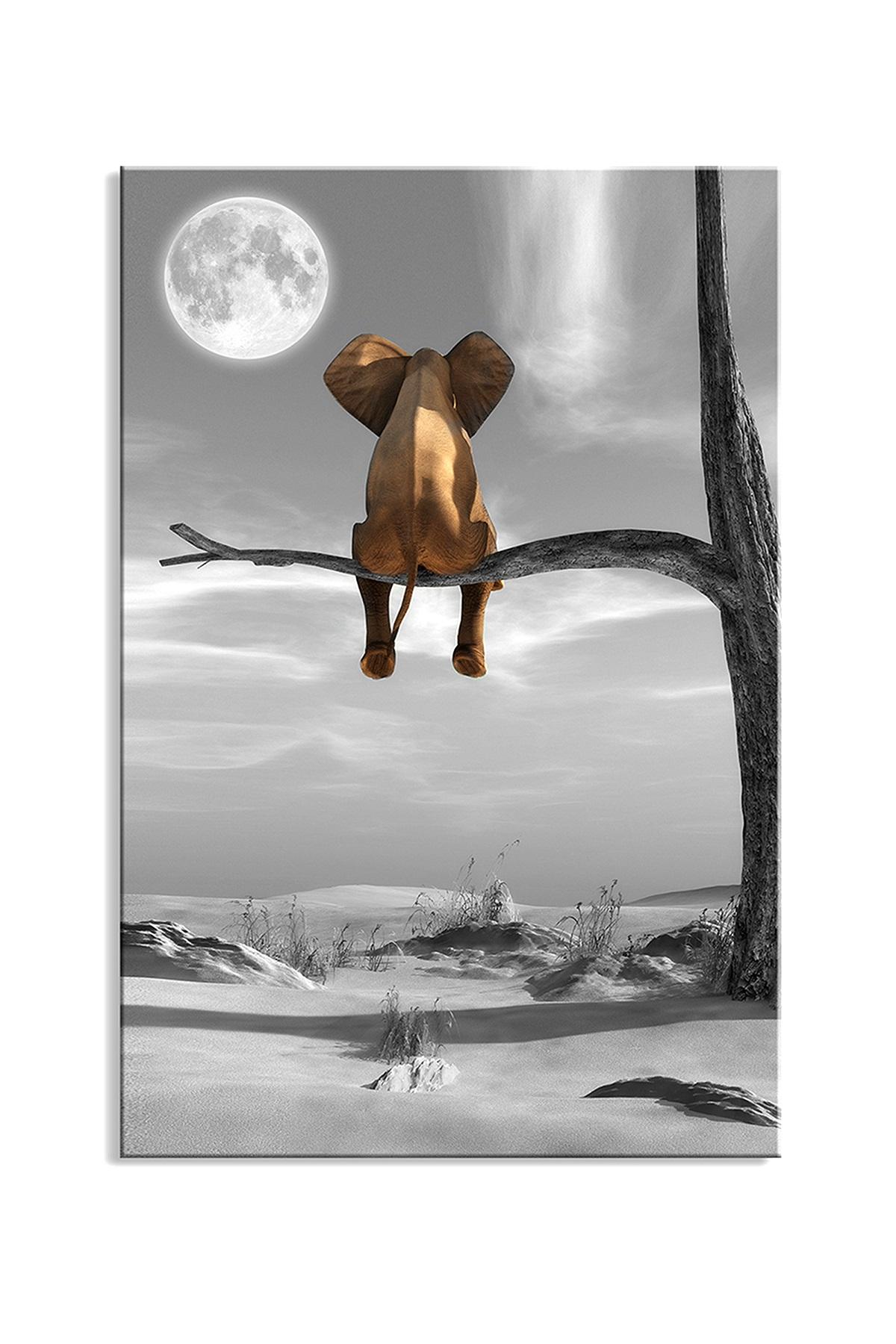 Leinwandbild Elefant auf Baum mit Mond – 80 x 60 cm