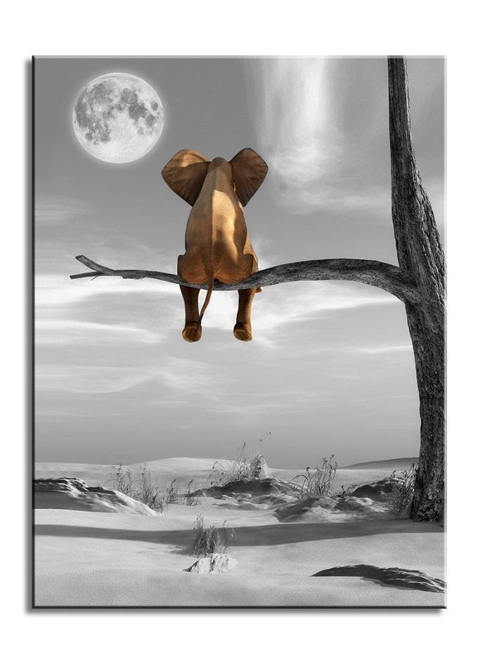 Leinwandbild Elefant auf Baum mit Mond – 80 x 60 cm – Ansicht 4