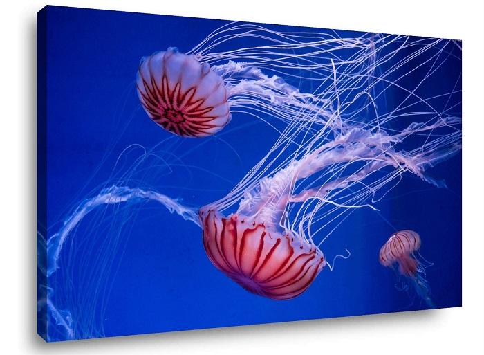 Leinwandbild Quallen – Faszinierende Unterwasserwelt für Ihr Zuhause – Ansicht 4