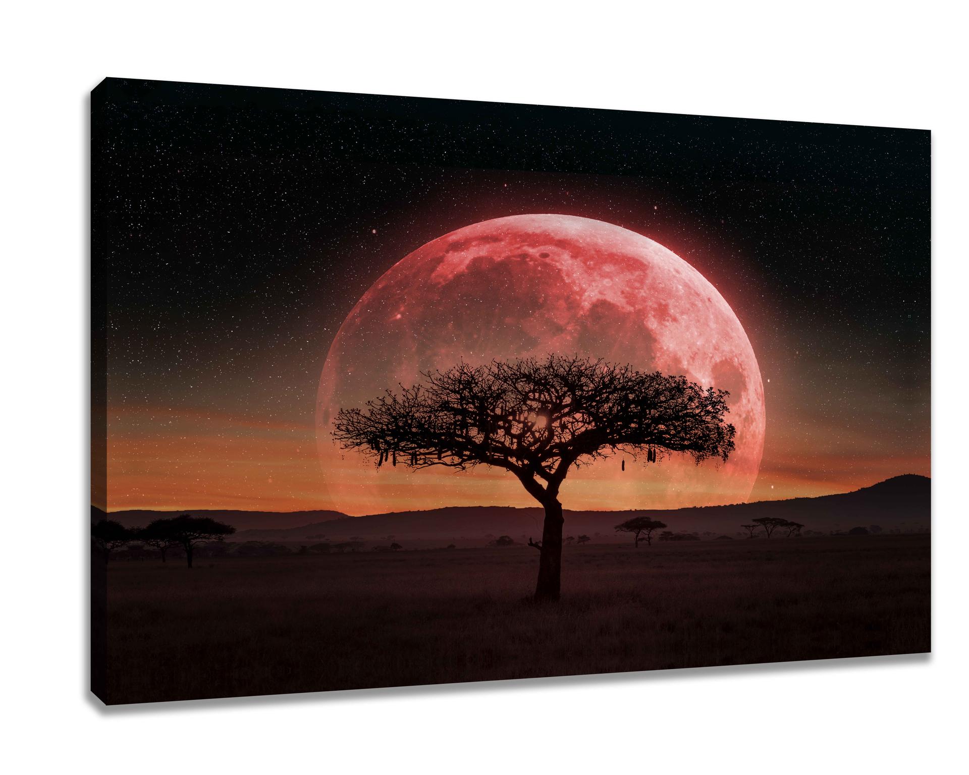 Leinwand Bild roter Mond mit Baum 80 x 60 cm Nr.4031
