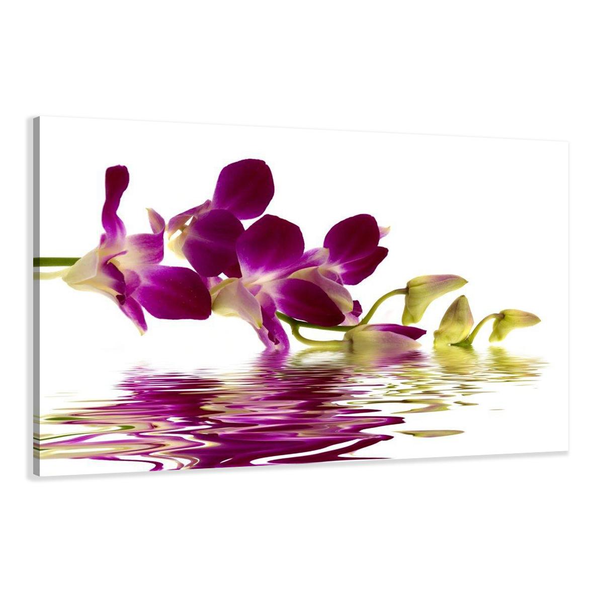 Leinwand Bild fert gerahmt Orchidee 80cm XXL 3 4132 !!Auslaufmodell !! – Leinwandbild 80x60 cm kaufen