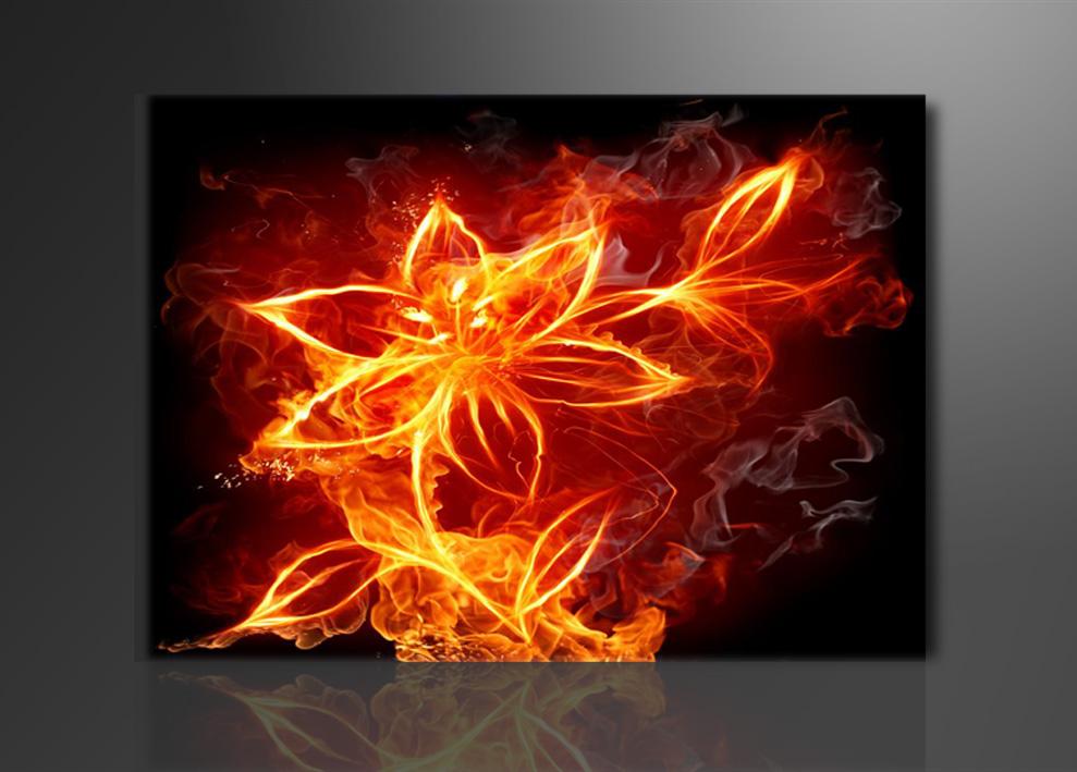 Fire Fly Leinwandbild 80cm XXL - Fertig gerahmt – Ansicht 4