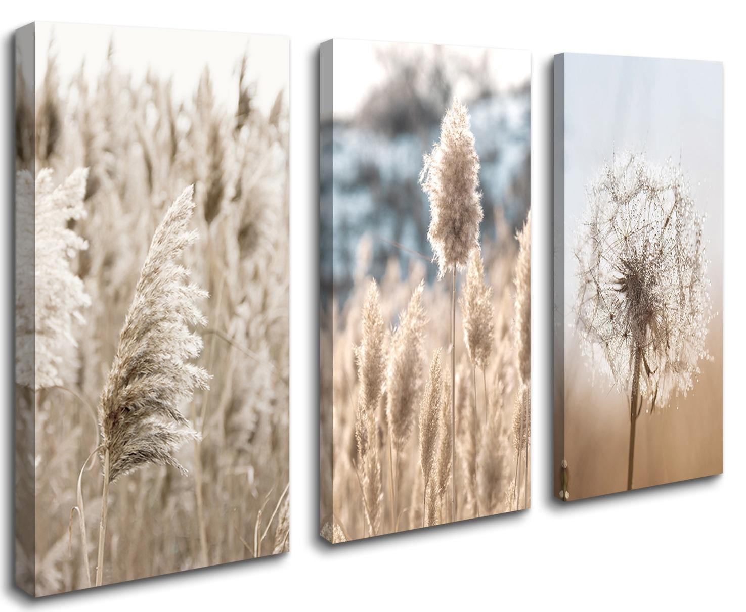 Leinwand Bild fert gerahmt Boho Pampasgras Pusteblume  120 x 80 cm 4427 – Leinwandbild 120x80 cm 3-teilig kaufen