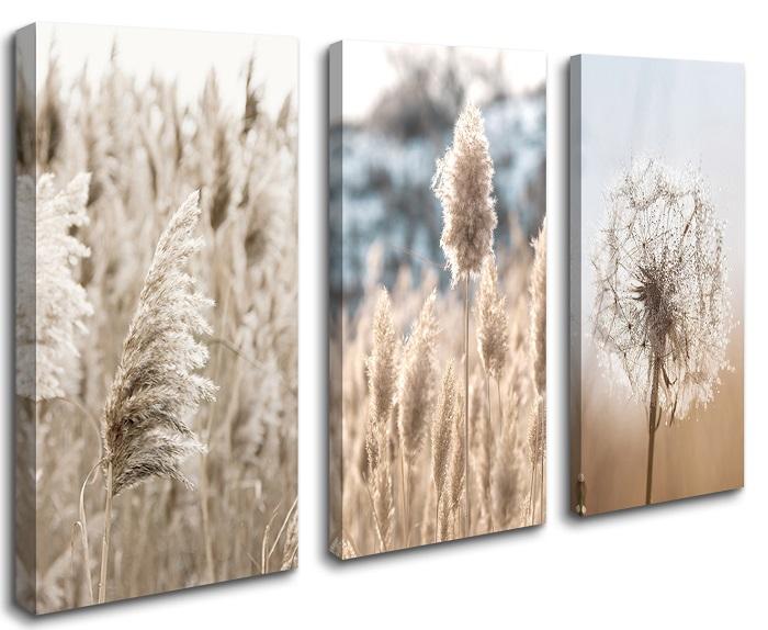 Boho Leinwandbild mit Pampasgras und Pusteblume – Ansicht 4