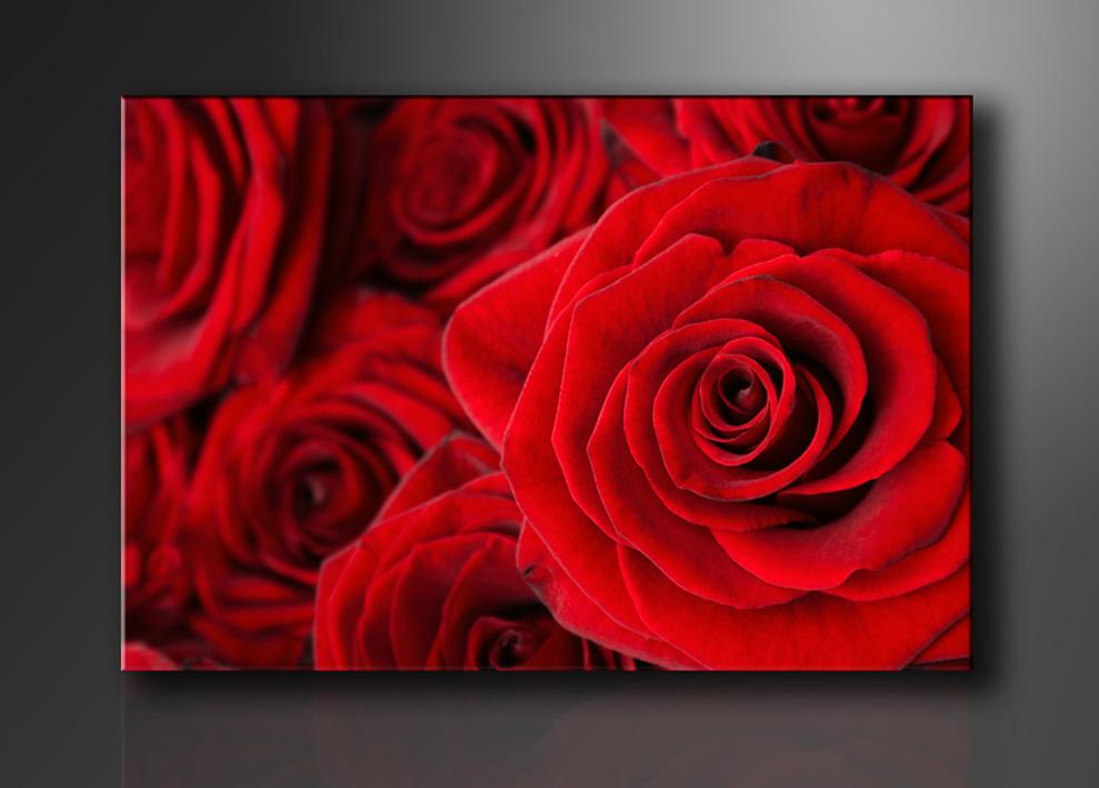 Rotes Rosen Leinwandbild 120x80 cm – XXL Wandbild günstig – Ansicht 4