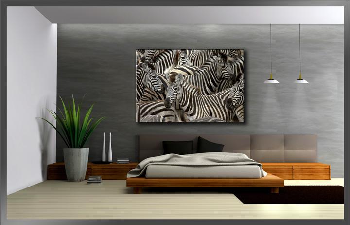 Afrika Leinwandbild mit Zebras 120x80 cm fertig gerahmt – Ansicht 3