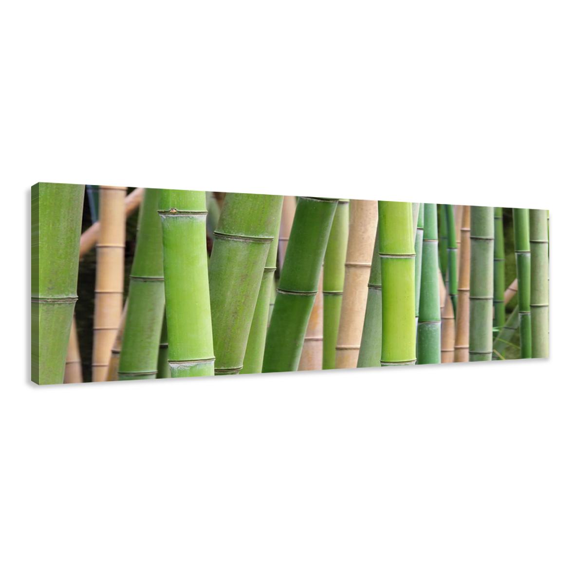 Leinwand Bild fert gerahmt Bambus 120cm XXL 1 5705 – Leinwandbild 120x40 cm kaufen