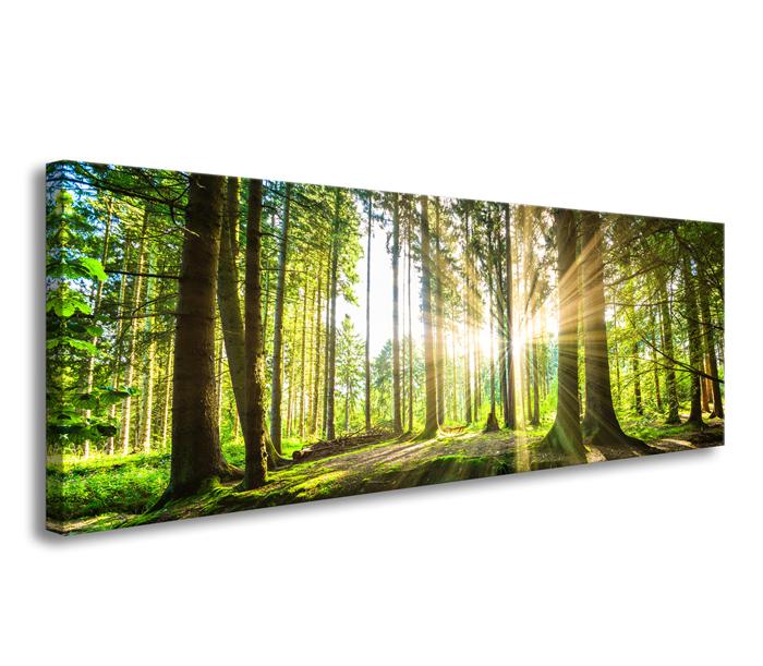 Leinwandbild Grüner Wald im Gegenlicht 120x40 cm – Ansicht 4