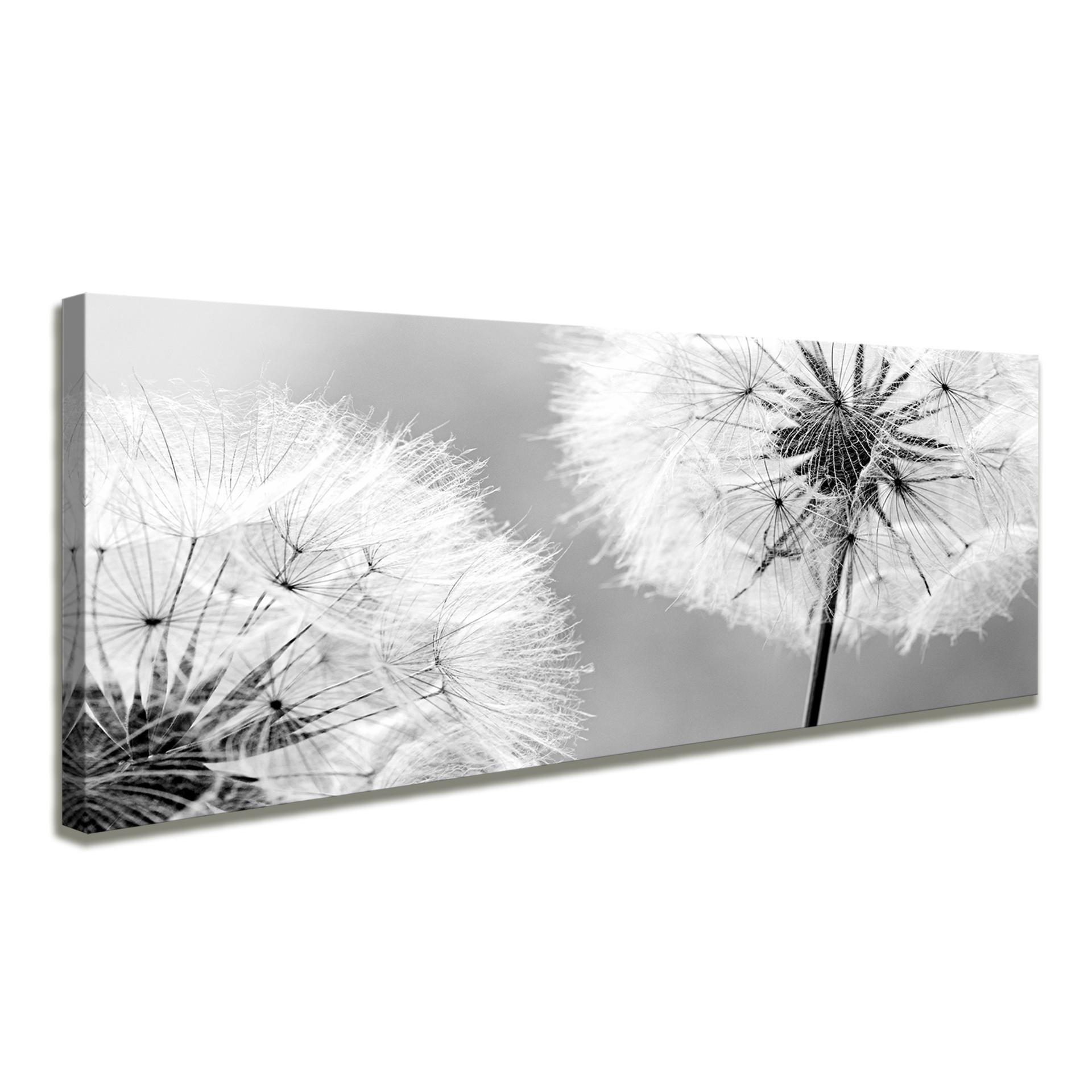 Leinwandbild Pusteblume Löwenzahn 120x40 cm mit Rahmen