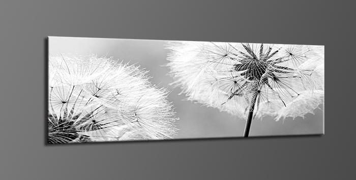 Leinwandbild Pusteblume Löwenzahn 120x40 cm mit Rahmen – Ansicht 4