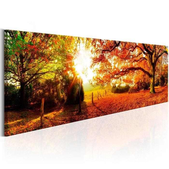 Leinwandbild Sonniger Wald – 120x40 cm mit Rahmen – Ansicht 4