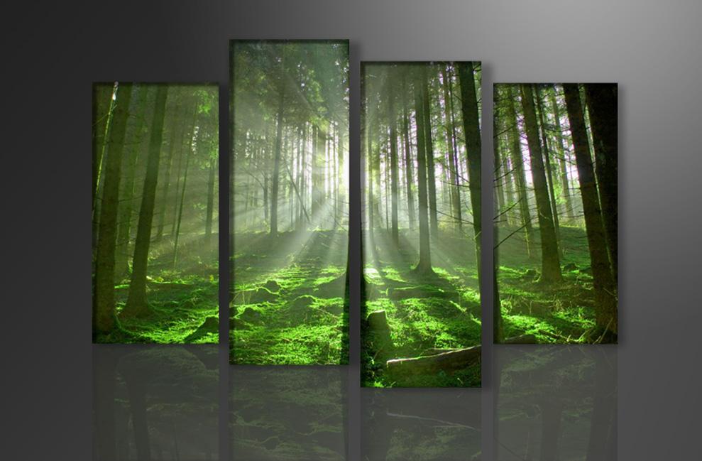 Leinwandbild Bäume XXL – 130cm fertig gerahmt – Ansicht 4