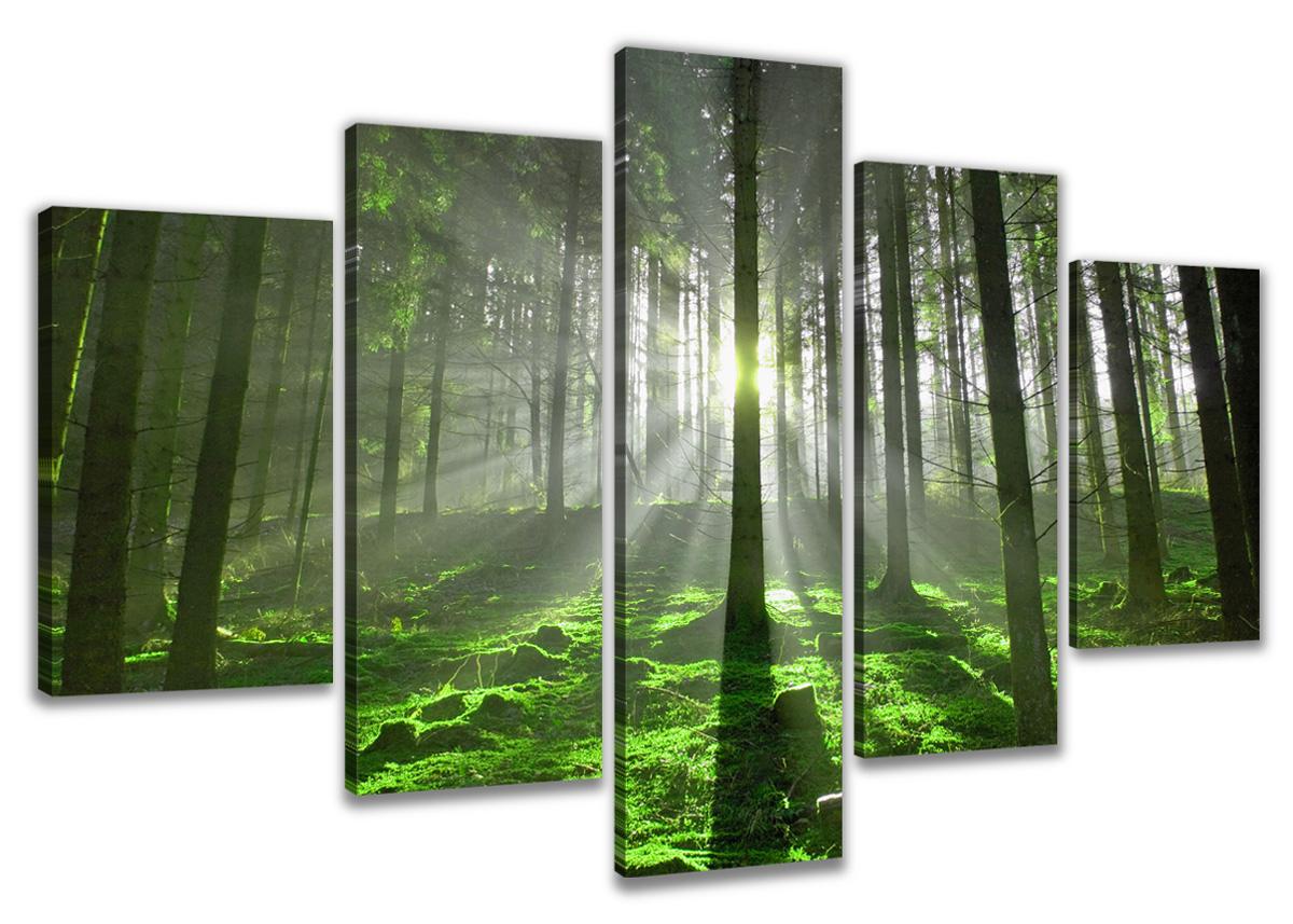 Leinwand Bild fert gerahmt Wald 200cm XXL 5 6312 – Leinwandbild 200x100 cm 5-teilig kaufen