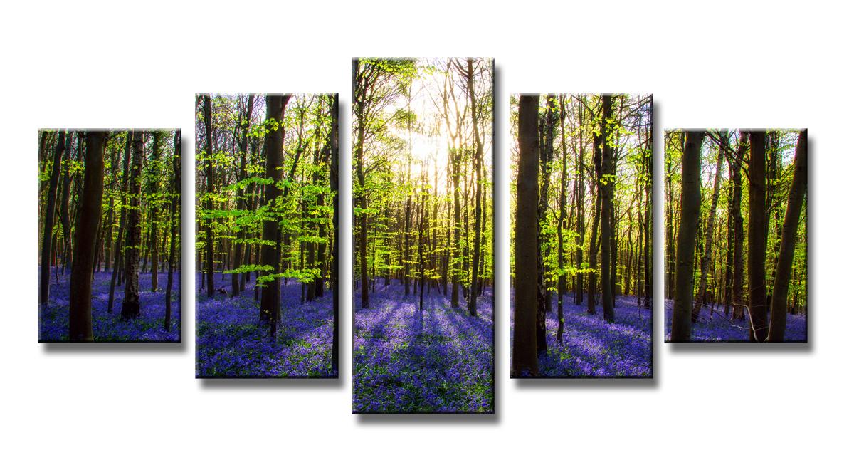 Leinwand Bild fert gerahmt Lavendel Wald 200cm XXL 5 6319 – Leinwandbild 200x100 cm 5-teilig kaufen