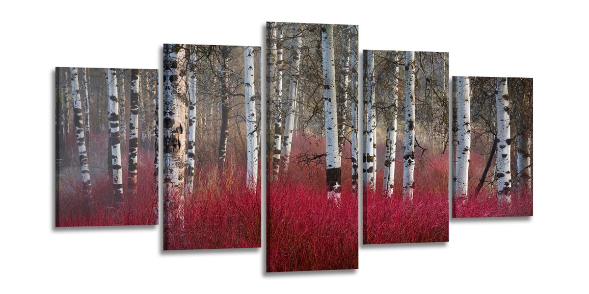 Leinwand Bild fert gerahmt Wald Birken rot 200cm XXL 5 6335 – Leinwandbild 200x100 cm 5-teilig kaufen