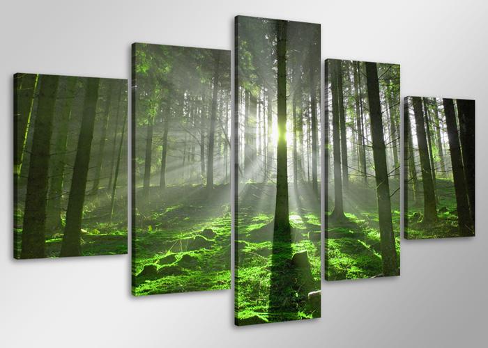Wald Leinwandbild XXL - 100cm fertig gerahmt kaufen – Ansicht 4