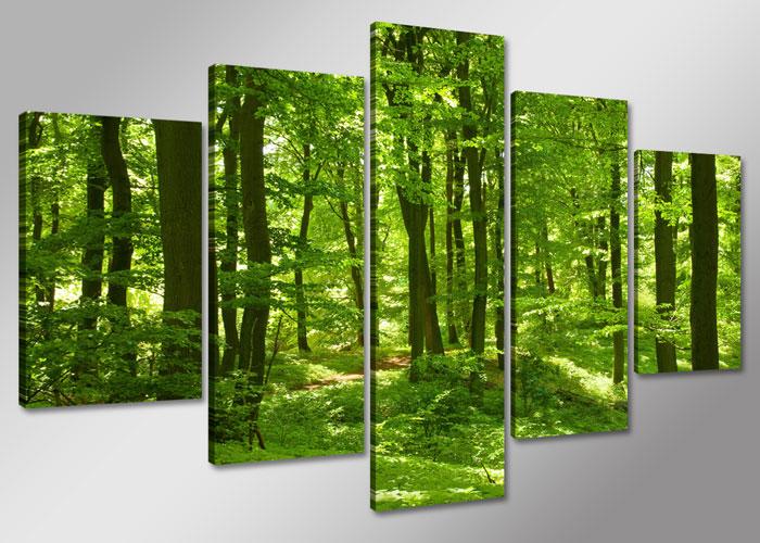 Leinwand Bild fert gerahmt Wald  100cm XXL 5 6411 – Leinwandbild 100x50 cm 5-teilig kaufen