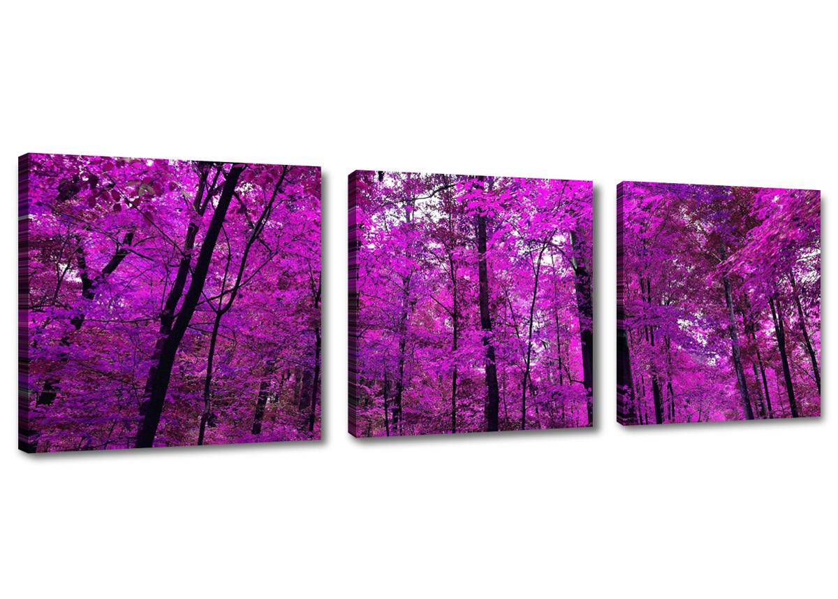 Leinwand Bild fert gerahmt Lila Wald 150cm XXL 3 4210 !!Auslaufmodell !! – Leinwandbild 150x50 cm 3-teilig kaufen