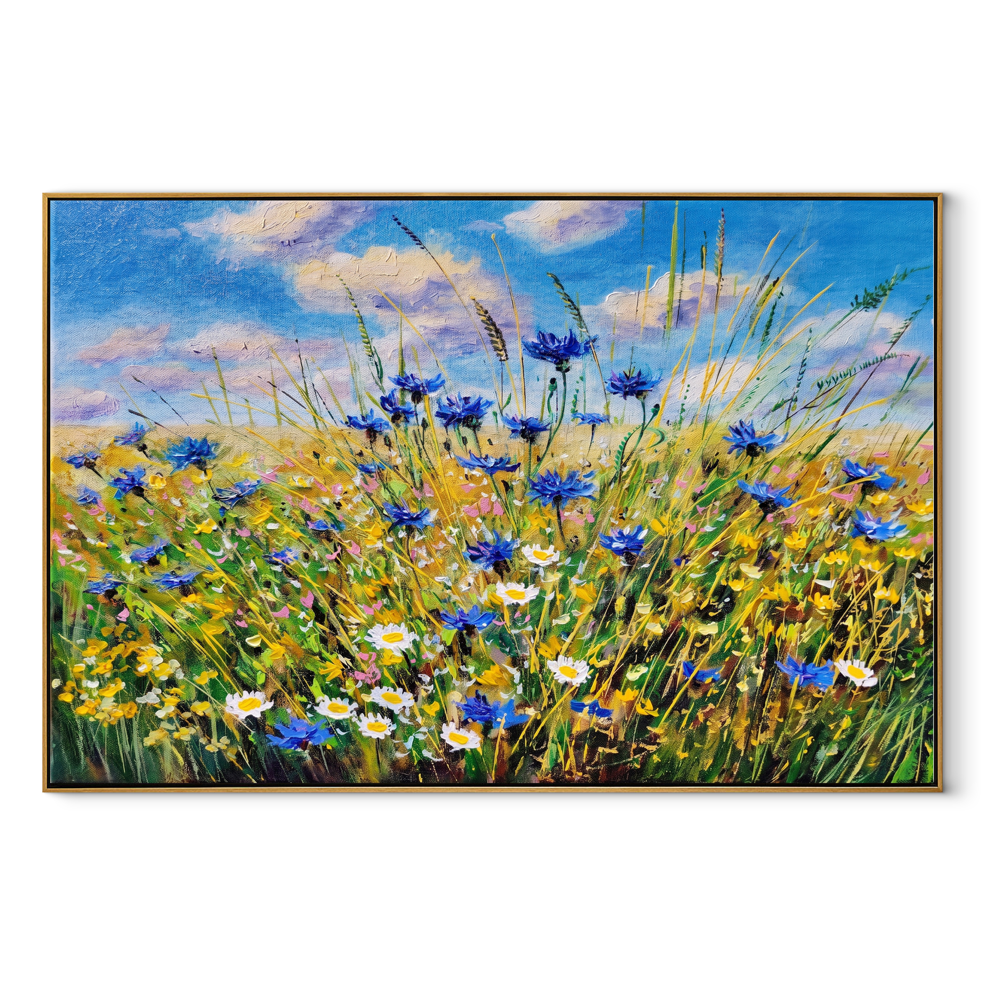 Cornflower Coastal Fields – 2