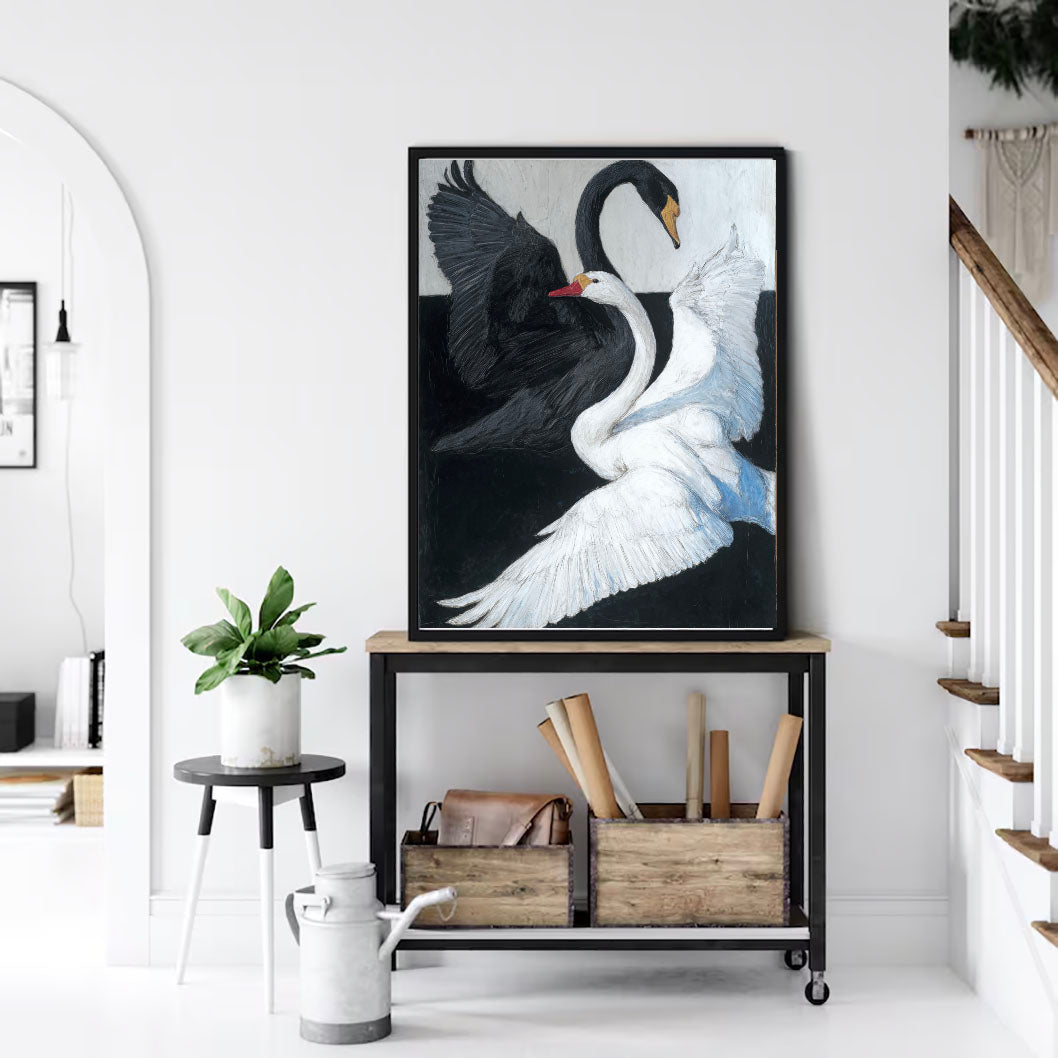 Swan Duality Grace – 2